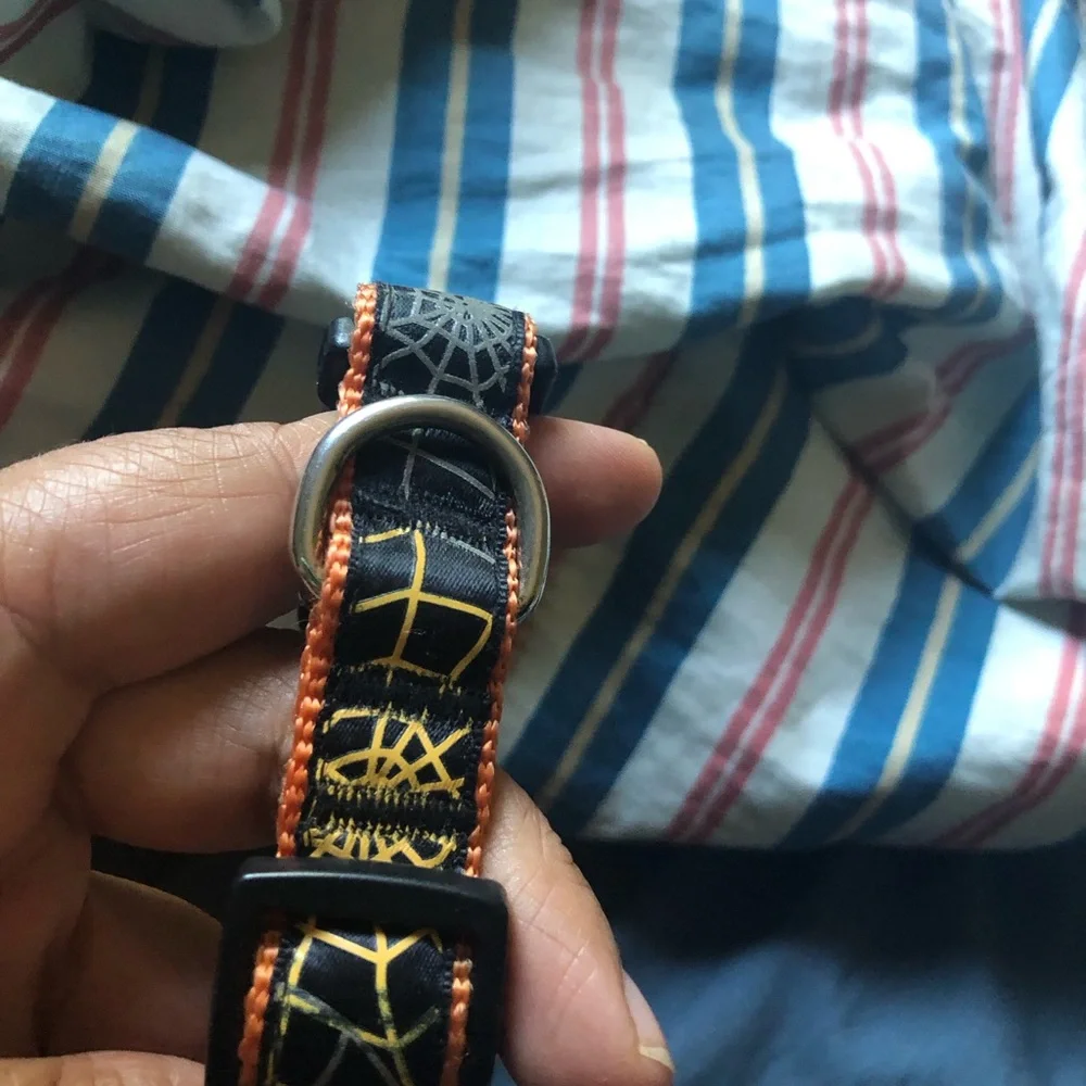 Red Rope and Chain Dog Leash with Orange Collar